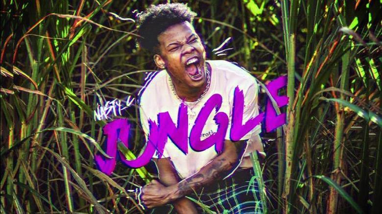 Nasty C – Jungle (Music Video)